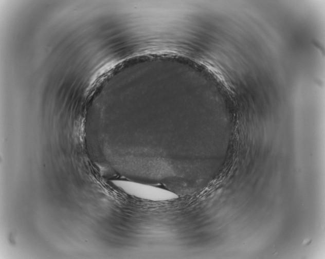 X0000094960920200712201157