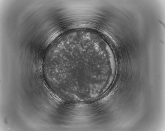 X0000094960921200712201157