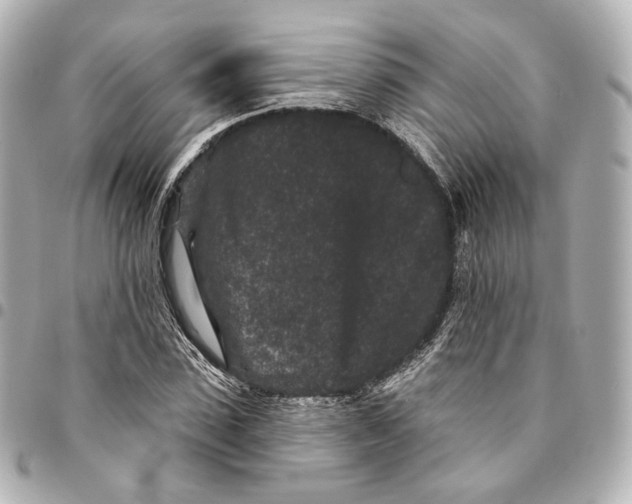 X0000094960923200712201157