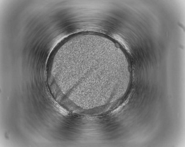 X0000094960924200712201157