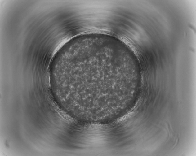 X0000094960925200712201157