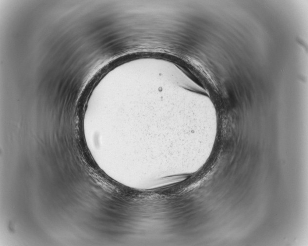 X0000094960926200712201157