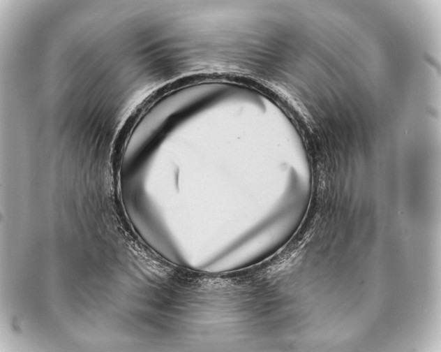 X0000094960927200712201157