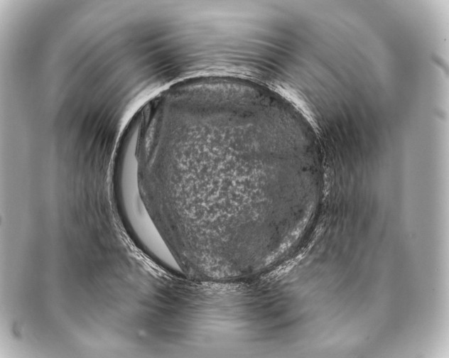 X0000094960928200712201157