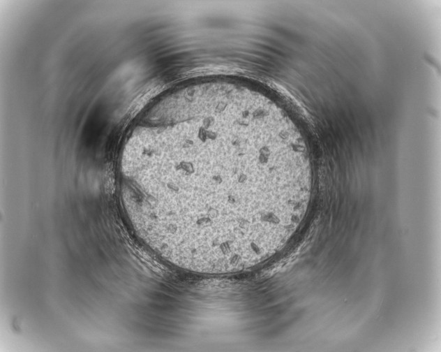 X0000094960929200712201157