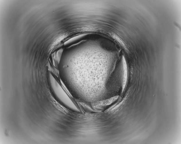 X0000094960930200712201157