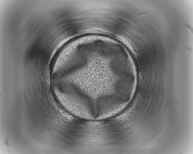 X0000094960931200712201157