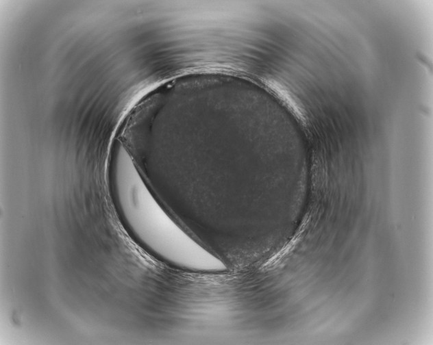 X0000094960932200712201157