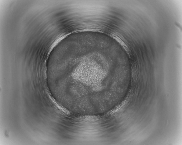 X0000094960933200712201157