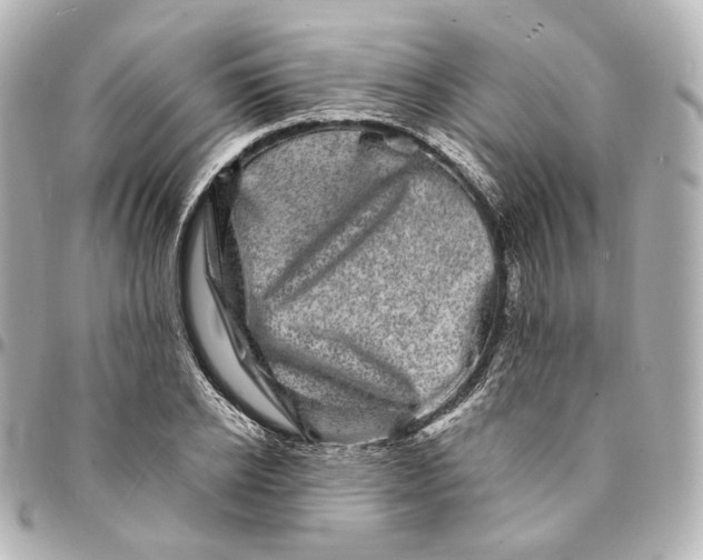 X0000094960934200712201157