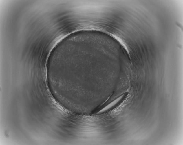 X0000094960935200712201157