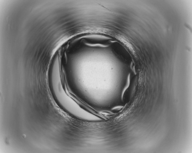 X0000094960936200712201157