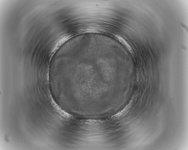 X0000094960938200712201157