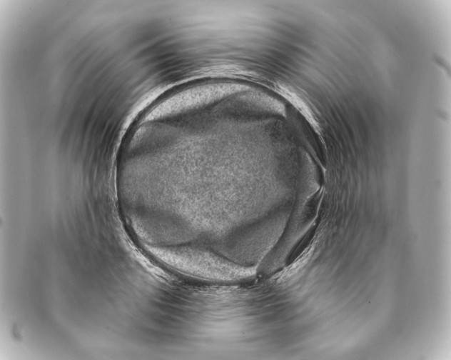 X0000094960939200712201157