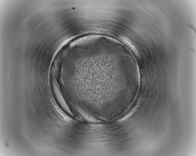 X0000094960940200712201157