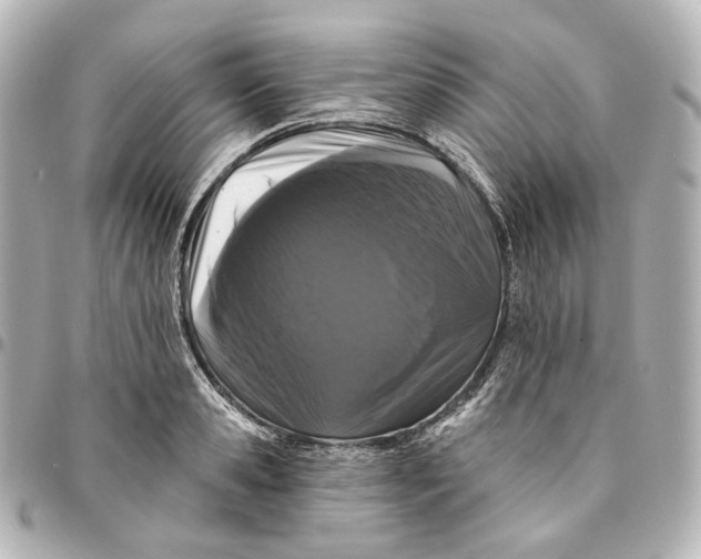 X0000094960941200712201157