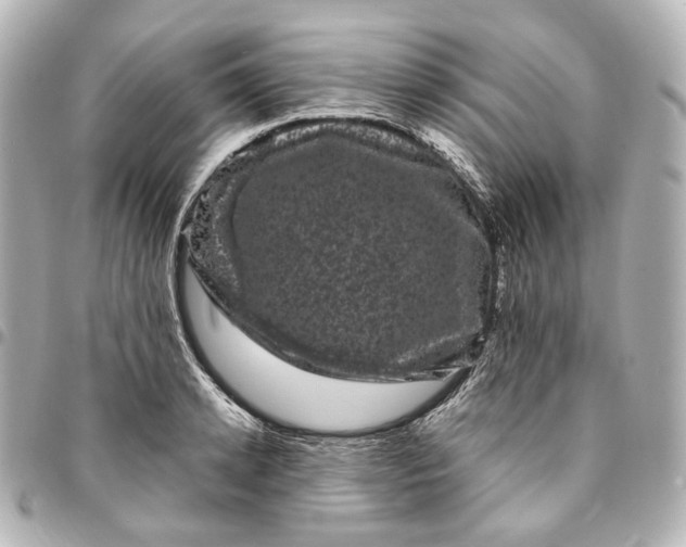 X0000094960942200712201157