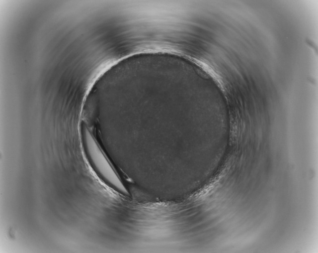 X0000094960943200712201157