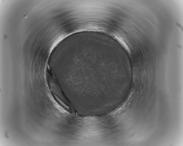 X0000094960944200712201157