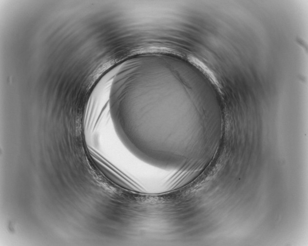 X0000094960945200712201157