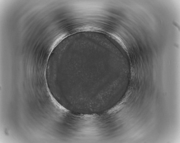 X0000094960946200712201157