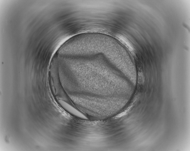 X0000094960948200712201157