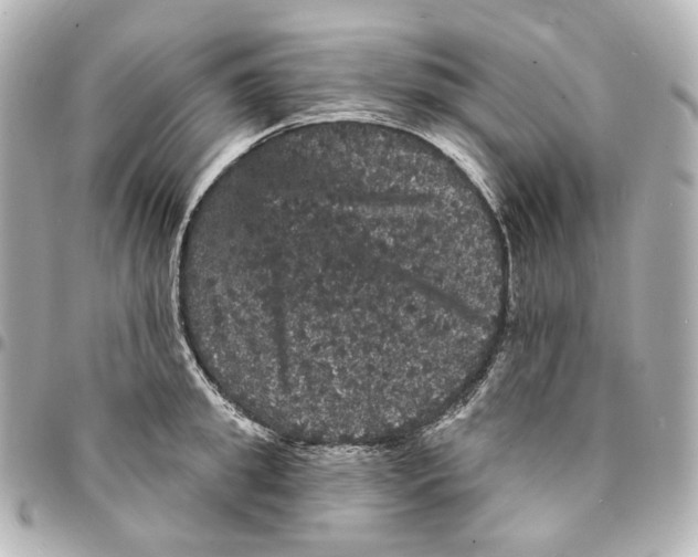 X0000094960949200712201157