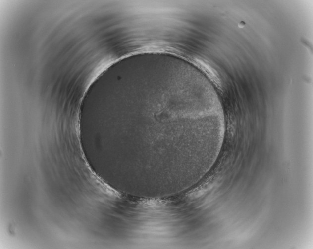 X0000094960950200712201157