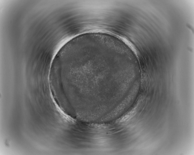 X0000094960951200712201157