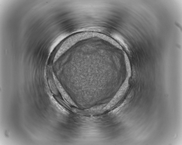 X0000094960952200712201157