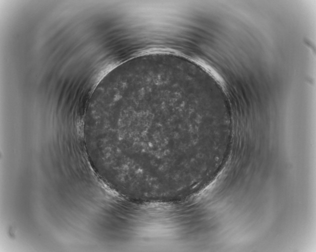 X0000094960953200712201157