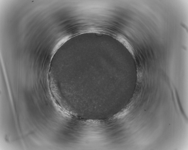 X0000094960954200712201157