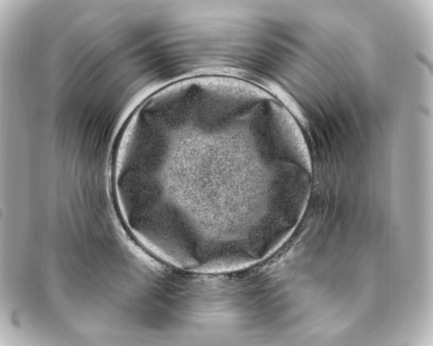 X0000094960955200712201157