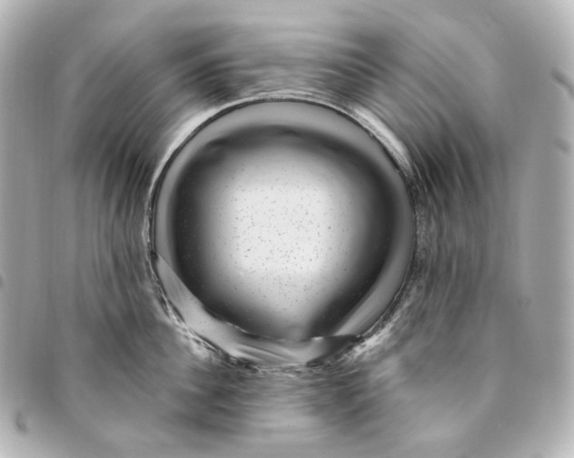 X0000094960956200712201157