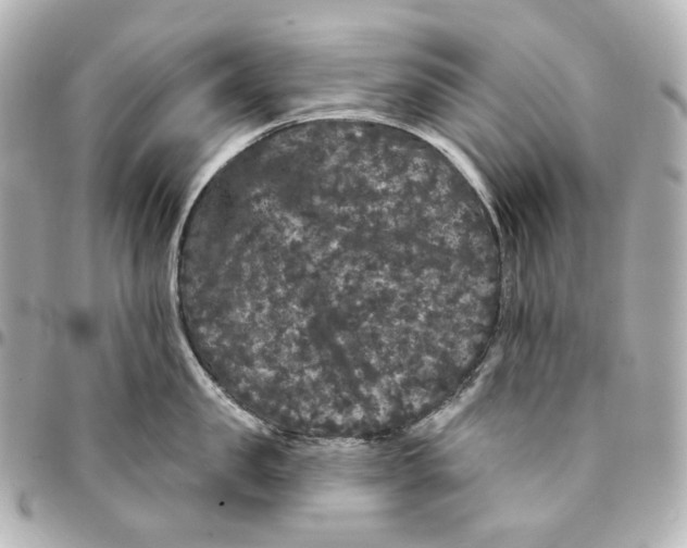 X0000094960957200712201157