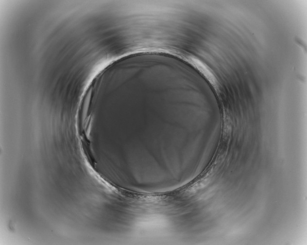 X0000094960958200712201157