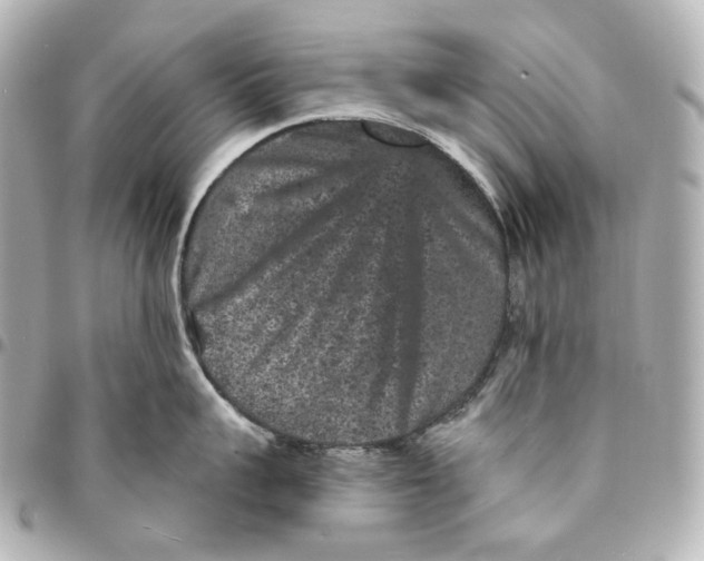 X0000094960959200712201157