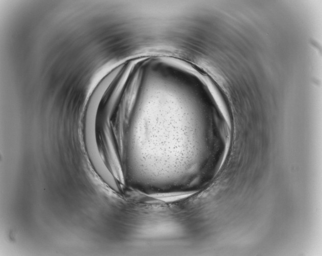 X0000094960960200712201157