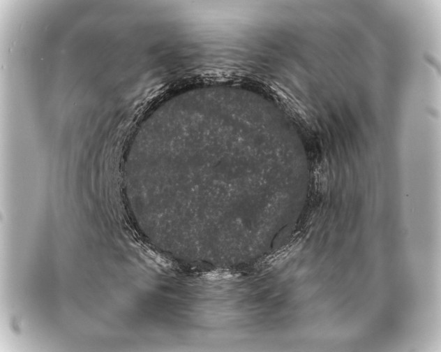 X0000094960961200712201157