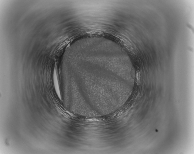 X0000094960963200712201157