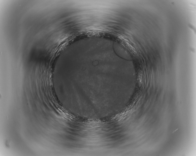 X0000094960964200712201157