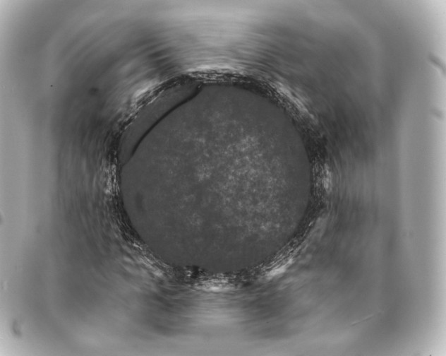 X0000094960965200712201157