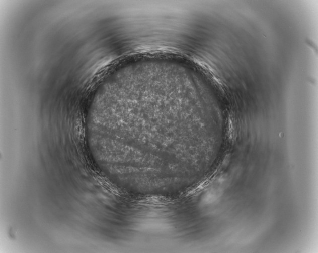 X0000094960966200712201157