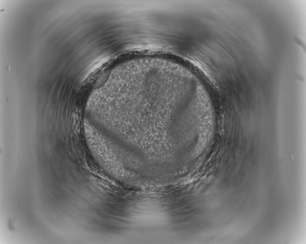 X0000094960967200712201157