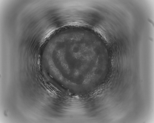 X0000094960968200712201157