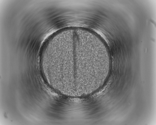 X0000094960971200712201157