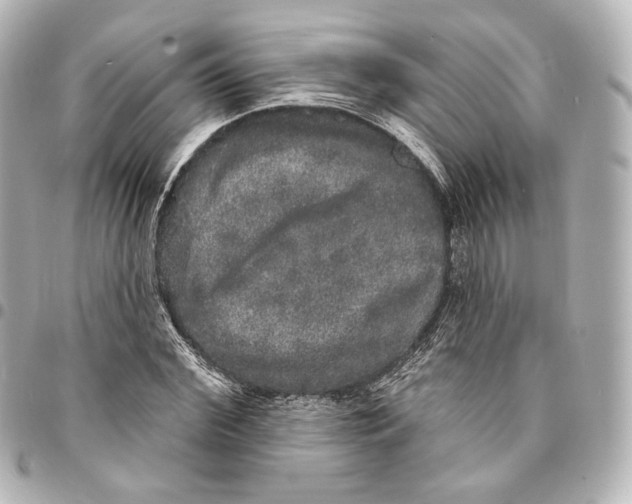 X0000094960972200712201157