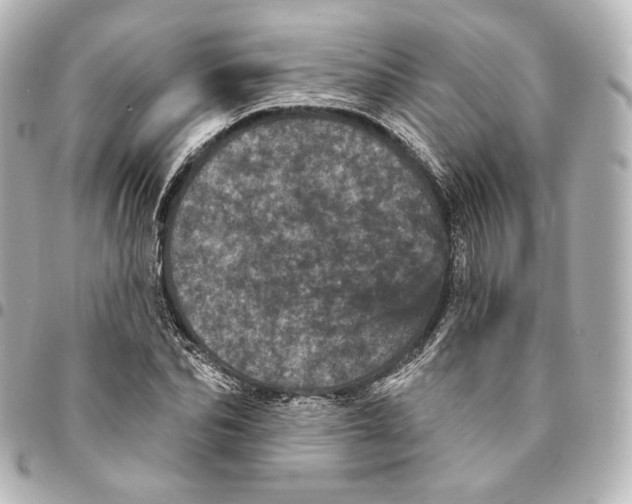 X0000094960974200712201157