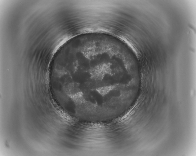 X0000094960975200712201157