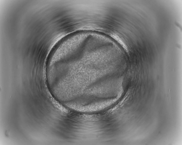 X0000094960976200712201157